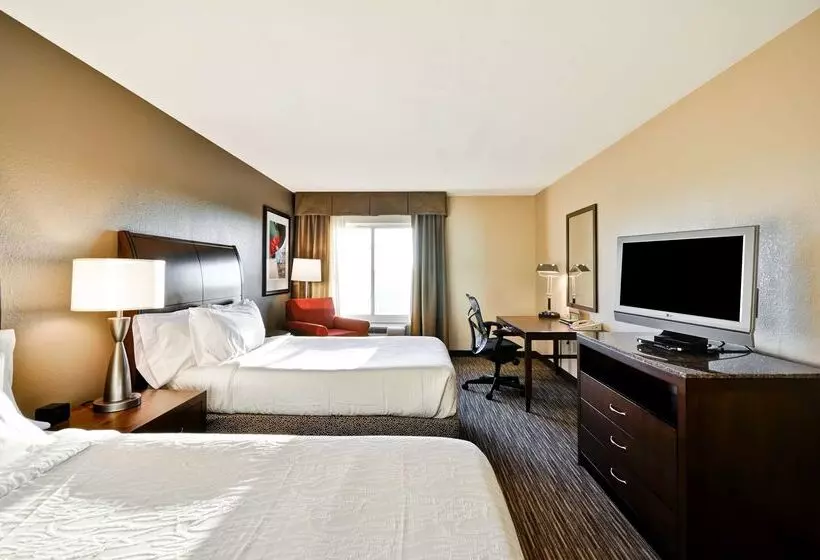 هتل Hilton Garden Inn Tampa North Busch Gardens