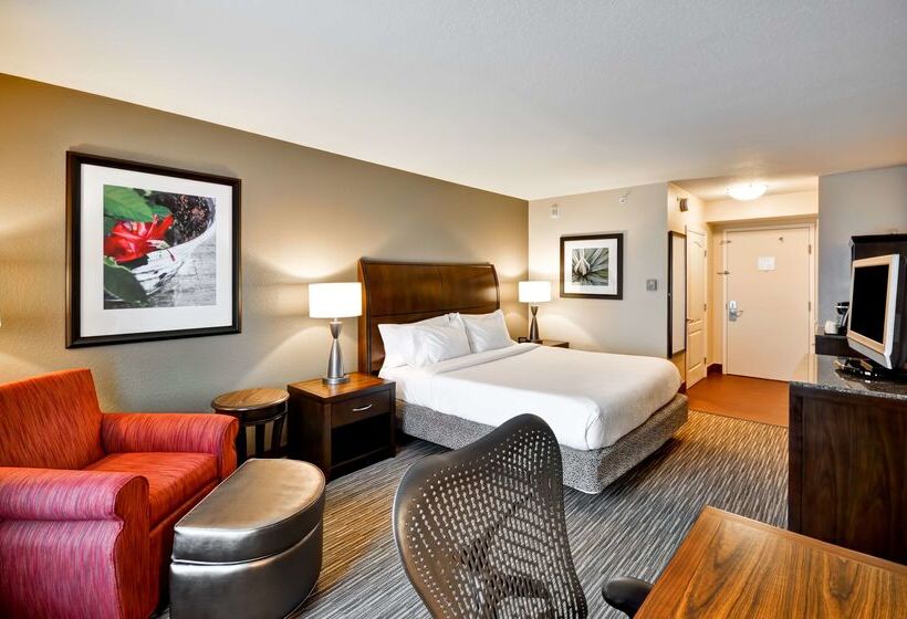 酒店 Hilton Garden Inn Tampa North Busch Gardens