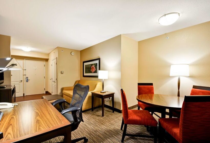 酒店 Hilton Garden Inn Tampa North Busch Gardens