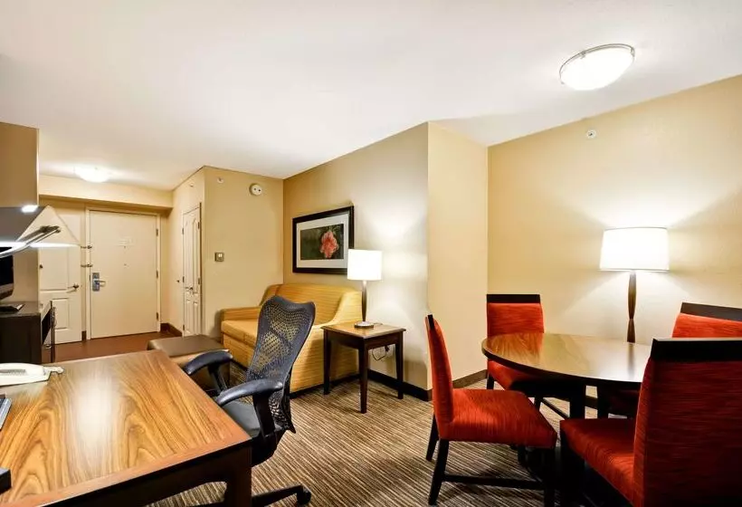 هتل Hilton Garden Inn Tampa North Busch Gardens