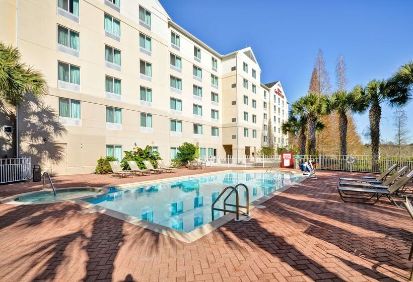 酒店 Hilton Garden Inn Tampa North Busch Gardens