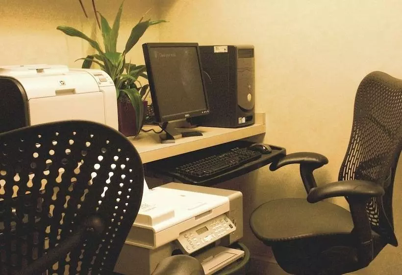 هتل Hilton Garden Inn Tampa North Busch Gardens