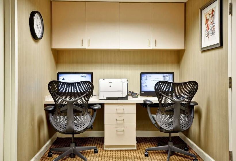 酒店 Hilton Garden Inn Tampa North Busch Gardens