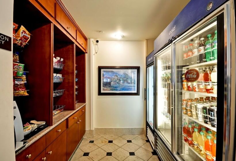 酒店 Hilton Garden Inn Tampa North Busch Gardens