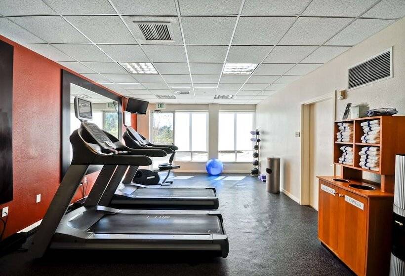 酒店 Hilton Garden Inn Tampa North Busch Gardens