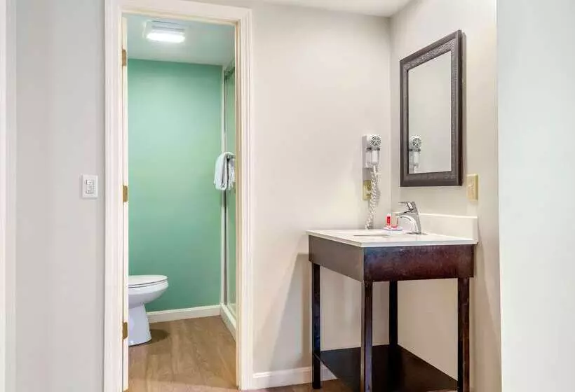 Отель Quality Inn & Suites