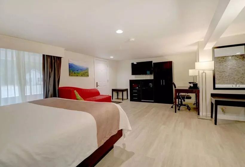 Отель Quality Inn & Suites