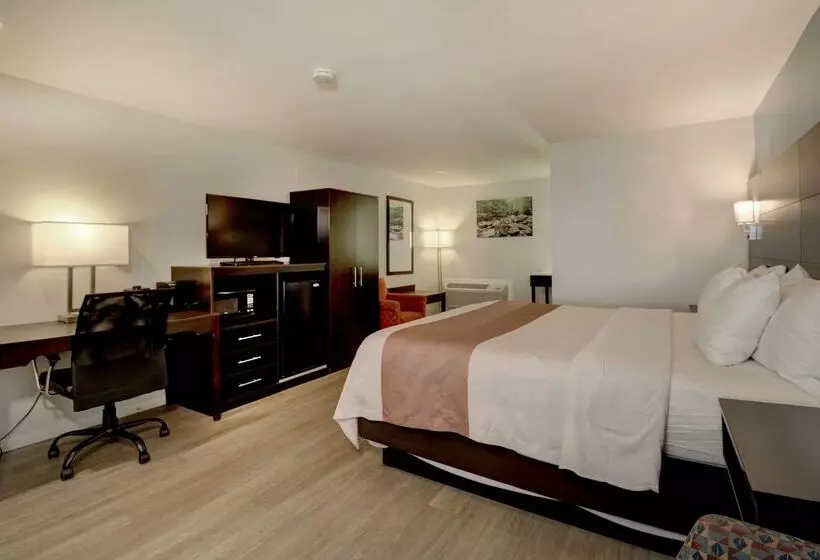 Отель Quality Inn & Suites