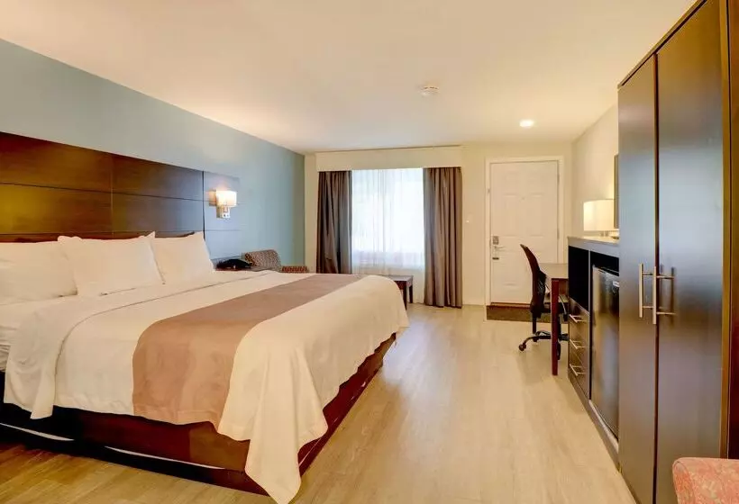 Отель Quality Inn & Suites