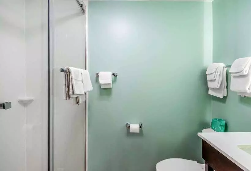 Отель Quality Inn & Suites