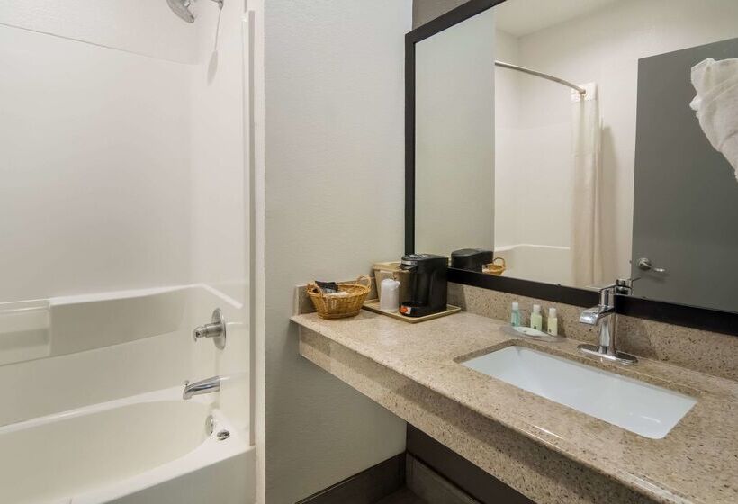 호텔 Quality Inn & Suites