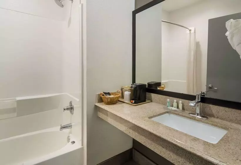 호텔 Quality Inn & Suites