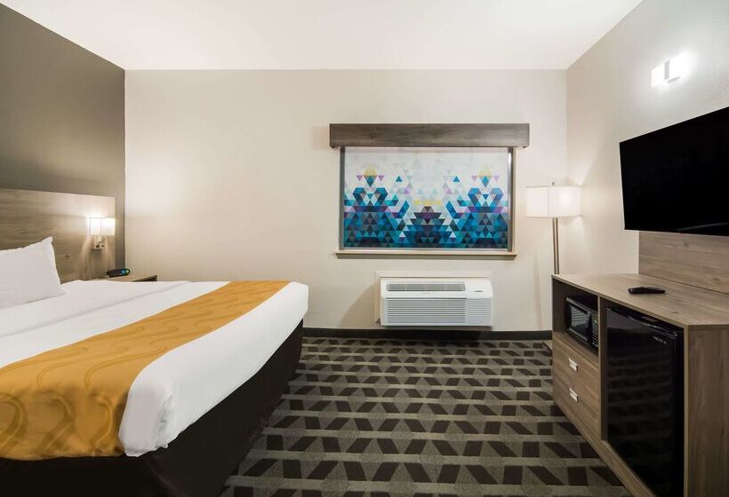 호텔 Quality Inn & Suites