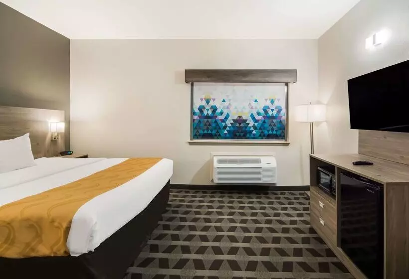 호텔 Quality Inn & Suites