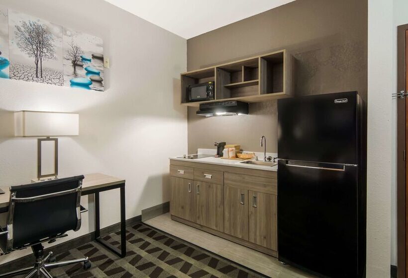 호텔 Quality Inn & Suites