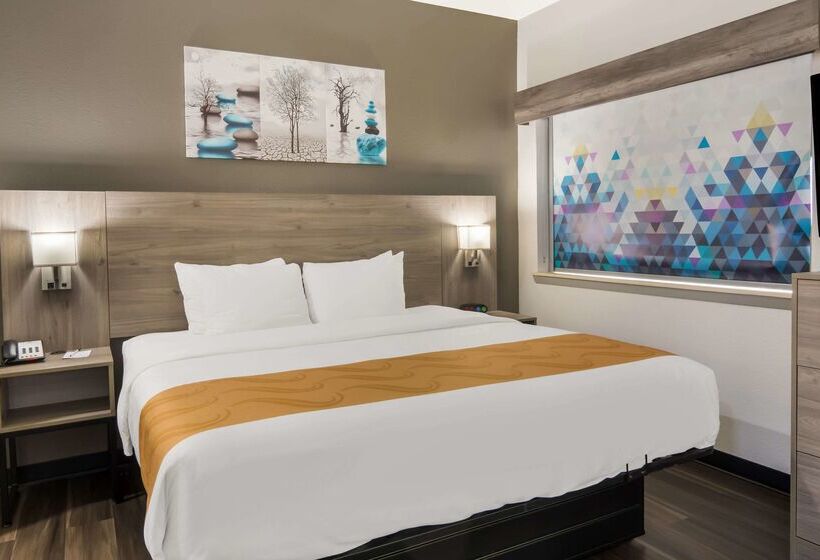 호텔 Quality Inn & Suites