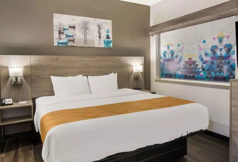 호텔 Quality Inn & Suites