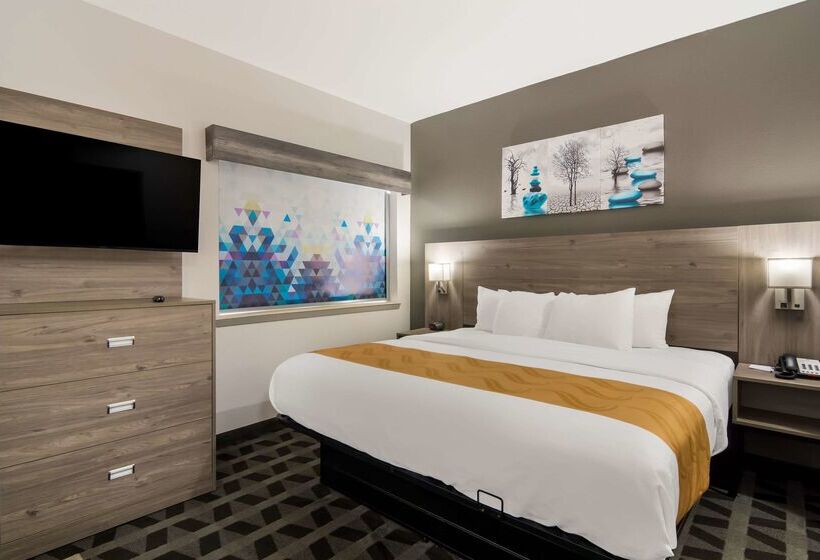 호텔 Quality Inn & Suites