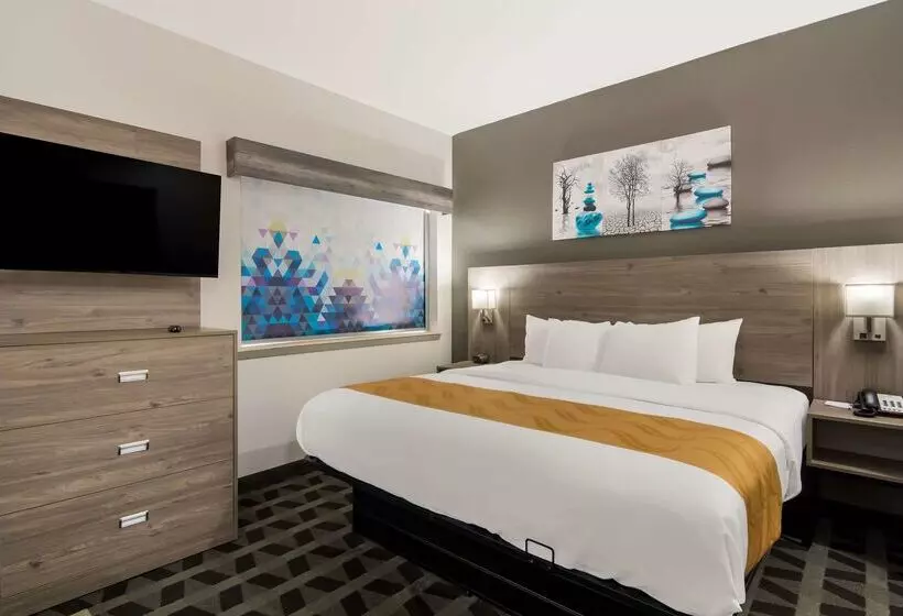 호텔 Quality Inn & Suites