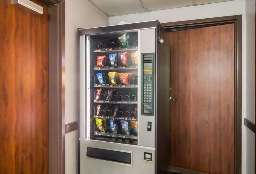 호텔 Quality Inn & Suites