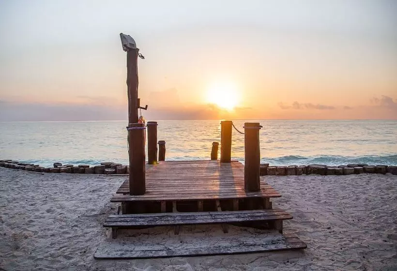 酒店 Tui Blue Bahari Zanzibar