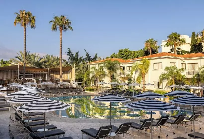 King Jason Paphos Designed For Adults By Louis Hotels