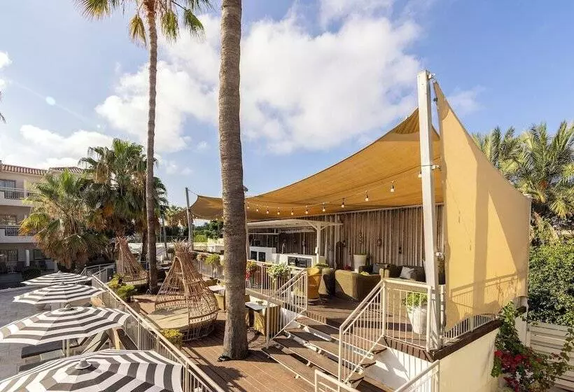 King Jason Paphos Designed For Adults By Louis Hotels