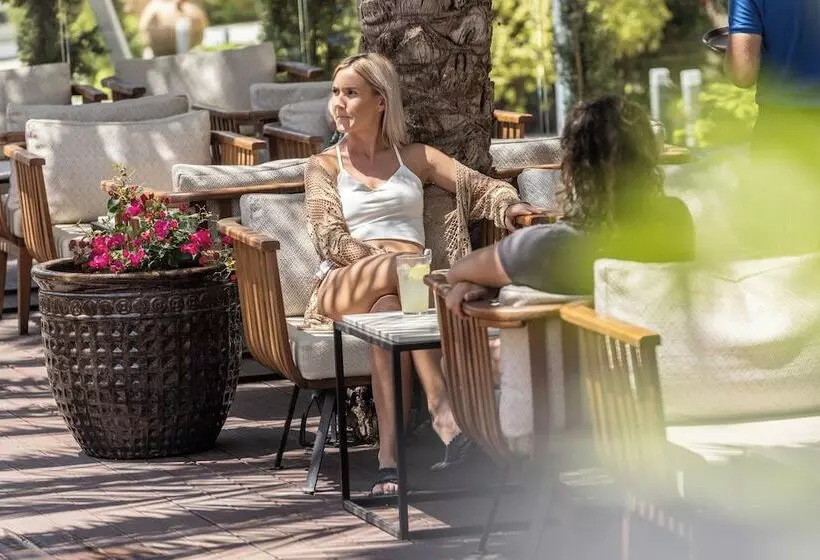 King Jason Paphos Designed For Adults By Louis Hotels