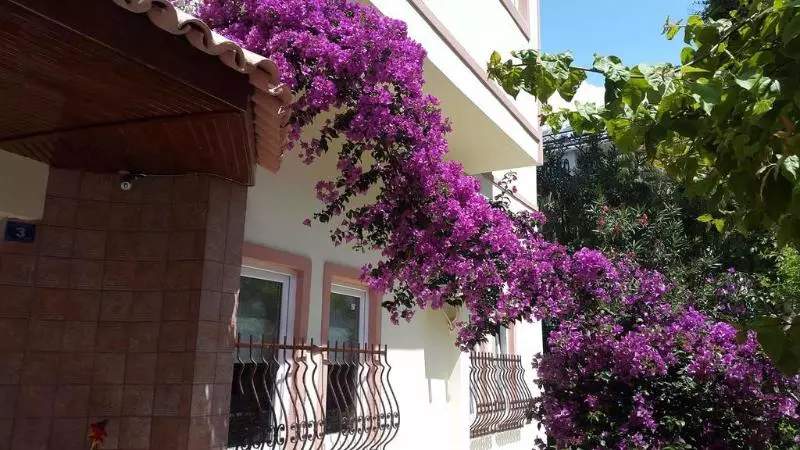 The S Apart & Suites