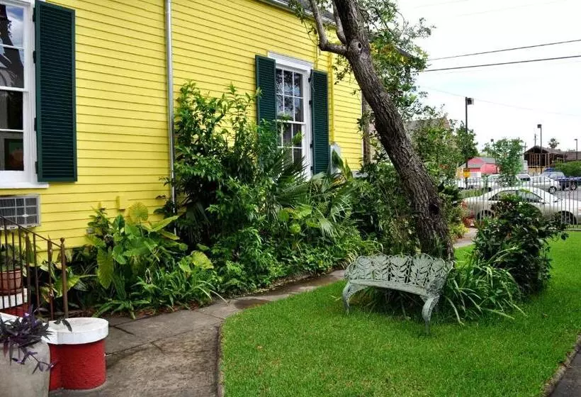 Auld Sweet Olive Bed And Breakfast