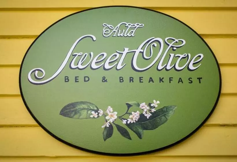 Auld Sweet Olive Bed And Breakfast