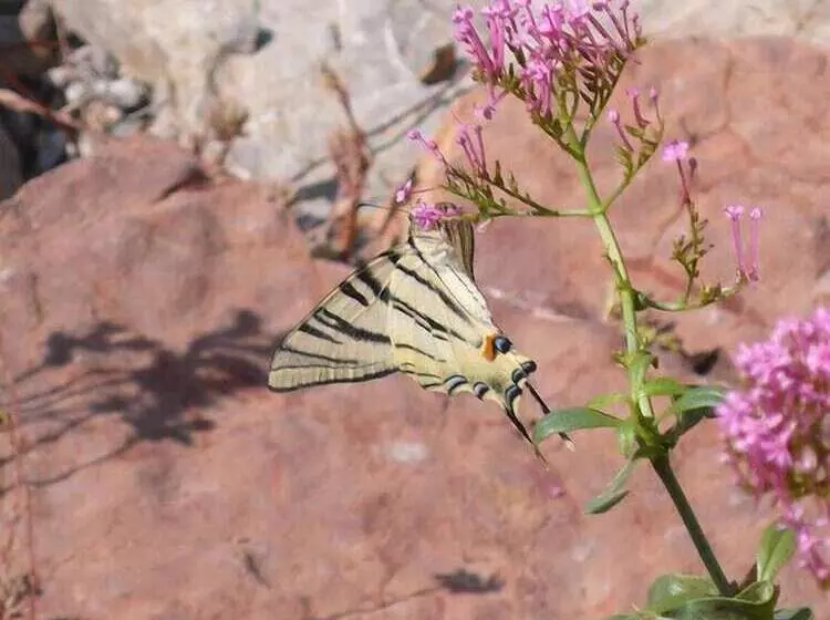ベッドアンドブレックファースト Le Cadran Solaire