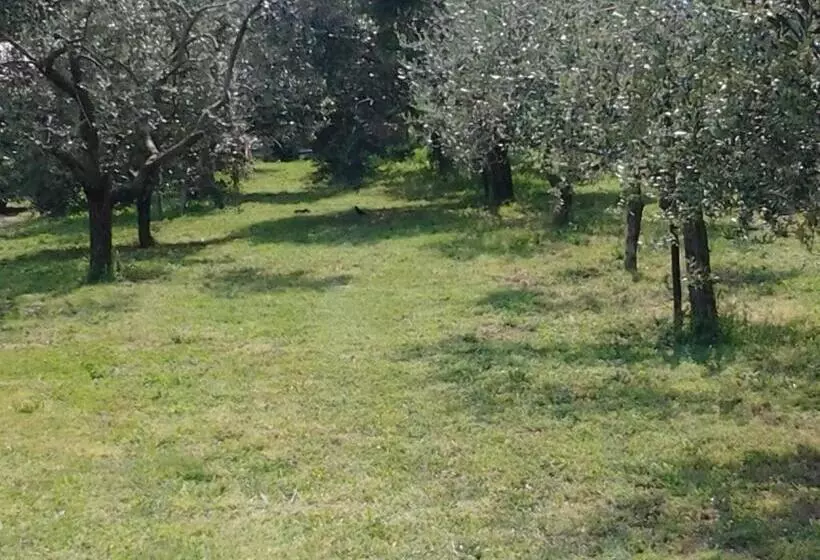 هتل Agriturismo Corte Galvani