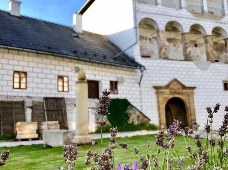 ホテル Chateau Goldenstein