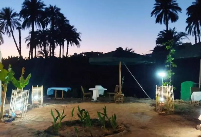 هتل Luxor Old Nile