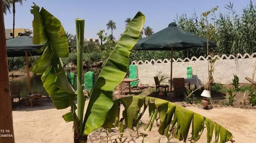 هتل Luxor Old Nile