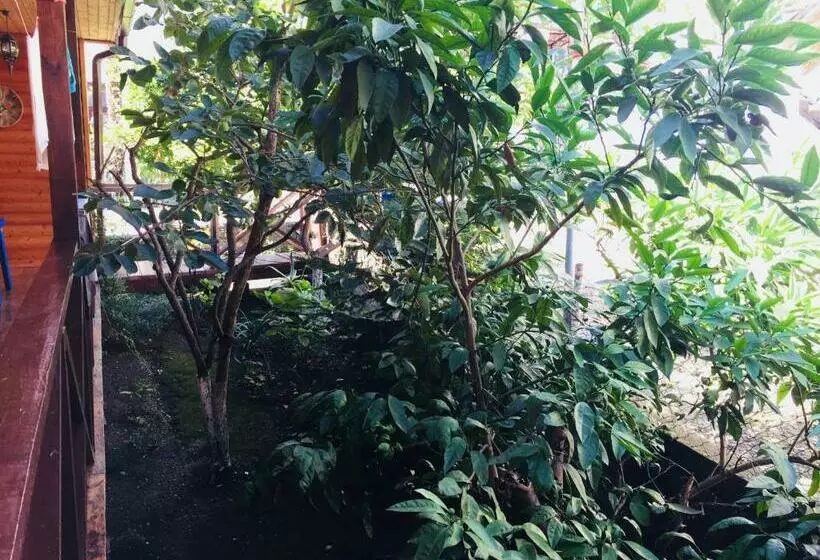 پانسیون Guest House Nana