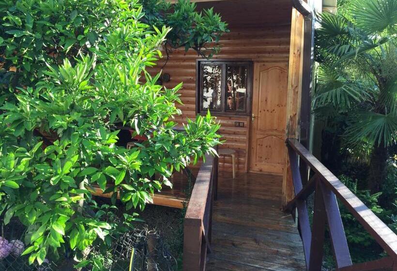 Panzió Guest House Nana