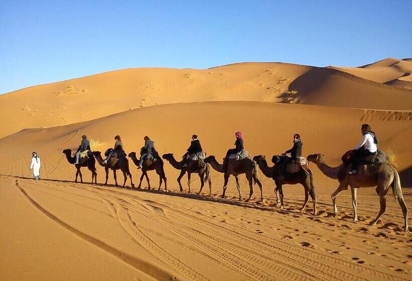 膳宿费 Riad Dar Ouzine