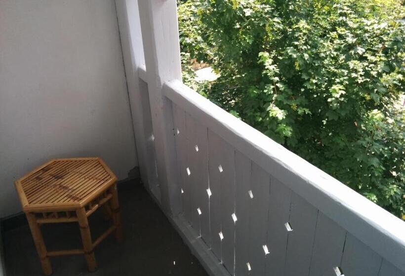 پانسیون Vila Brancoveanu