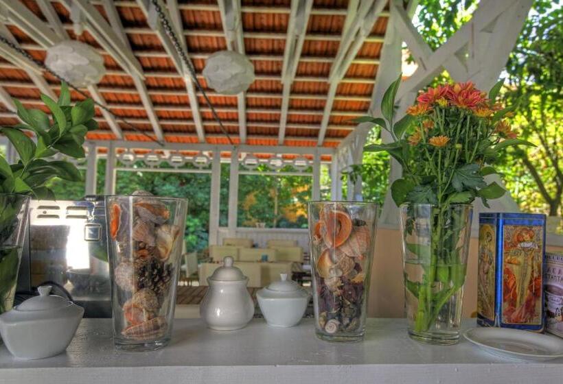 پانسیون Vila Brancoveanu