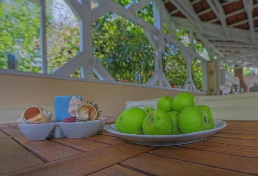 پانسیون Vila Brancoveanu