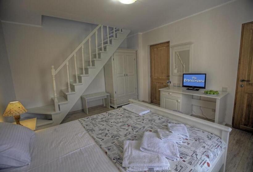 پانسیون Vila Brancoveanu