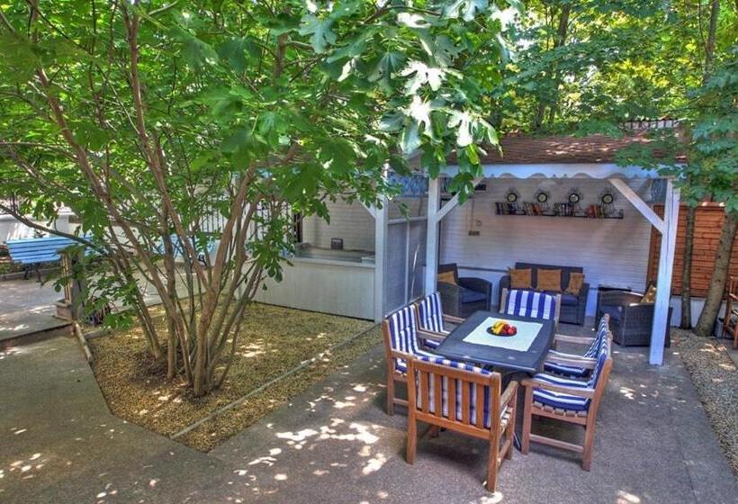 پانسیون Vila Brancoveanu