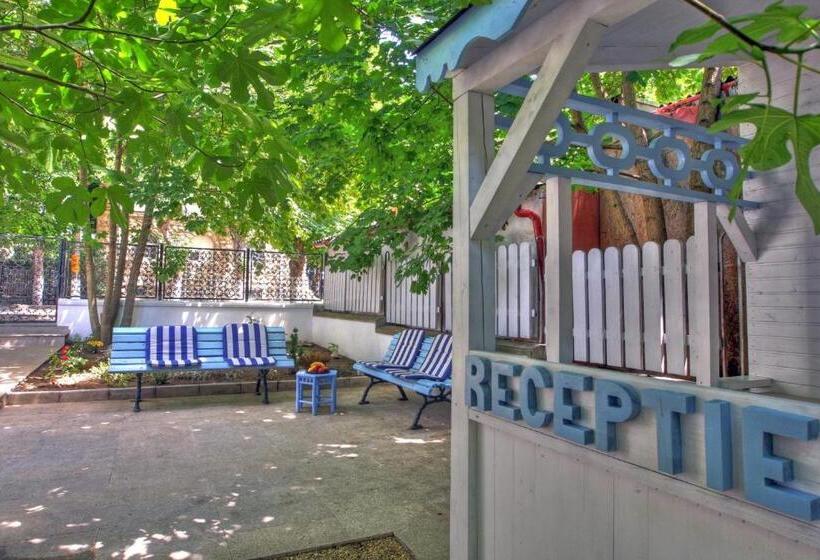 پانسیون Vila Brancoveanu