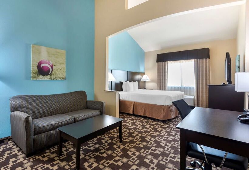 酒店 Best Western Plus Arlington North