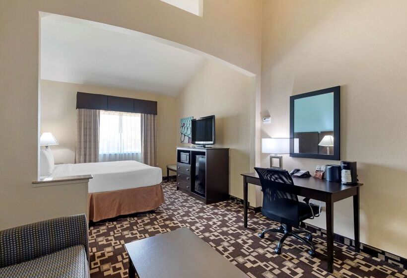 酒店 Best Western Plus Arlington North