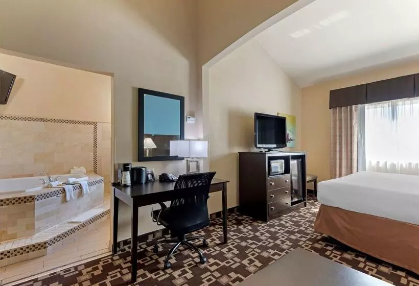 ホテル Best Western Plus Arlington North