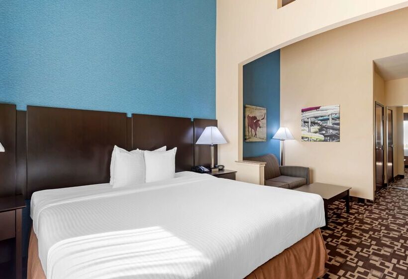 酒店 Best Western Plus Arlington North