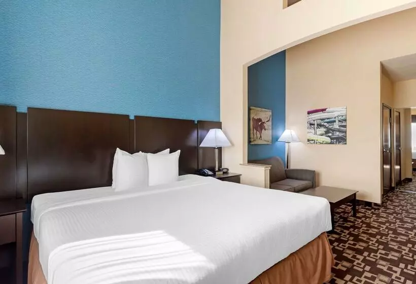 ホテル Best Western Plus Arlington North